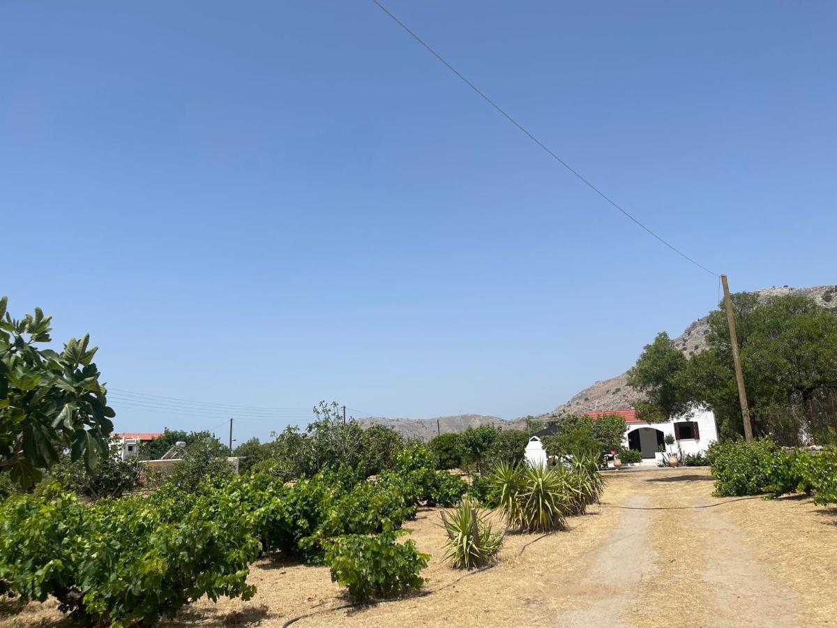 Aegean Endless Summer Villa Pefkos Pefki Екстериор снимка