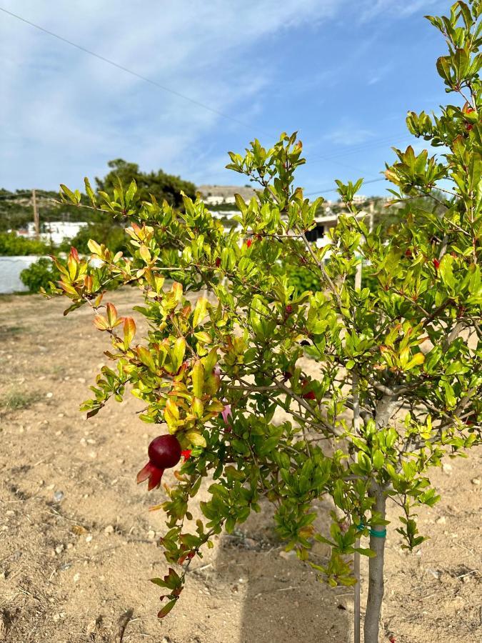 Aegean Endless Summer Villa Pefkos Pefki Екстериор снимка